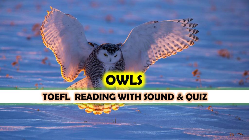 TOEFL READING: OWLS