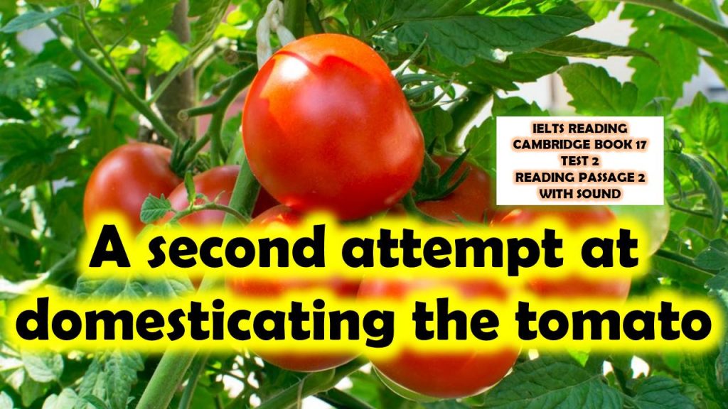 IELTS READING 17-2-2 A second attempt at domesticating the tomato